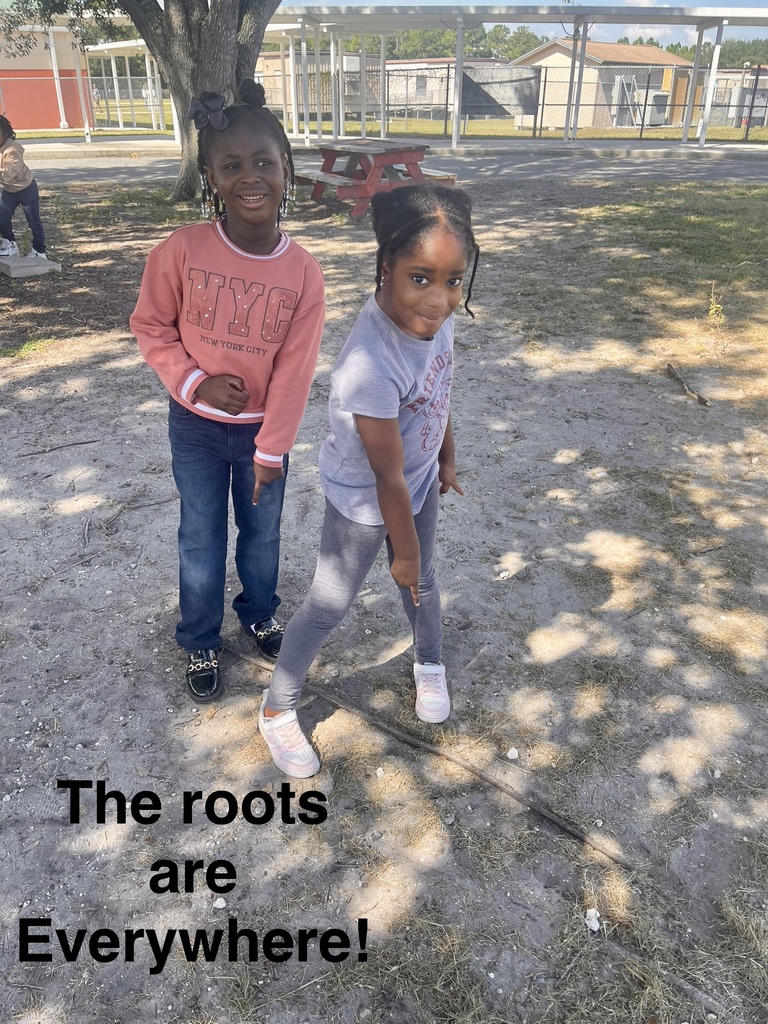 1st Grade