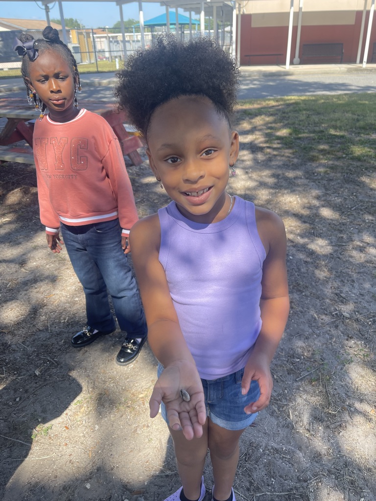 1st Grade