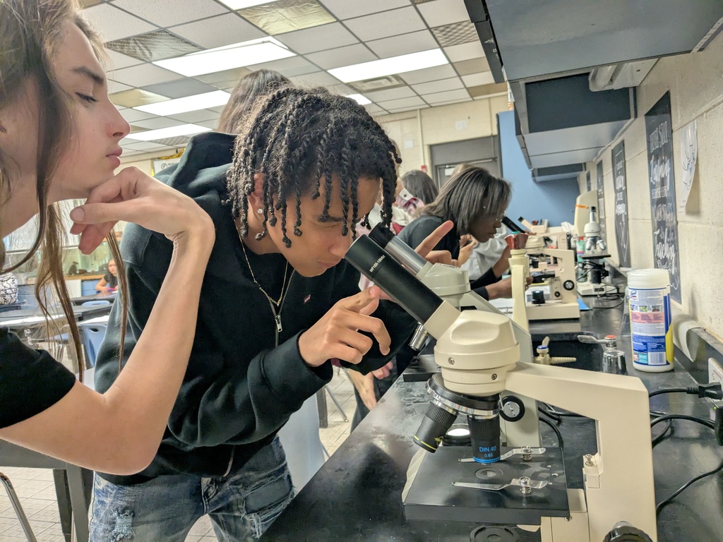 Students using microscopes in a classroom lab to observe and measure plant and bacteria cells.