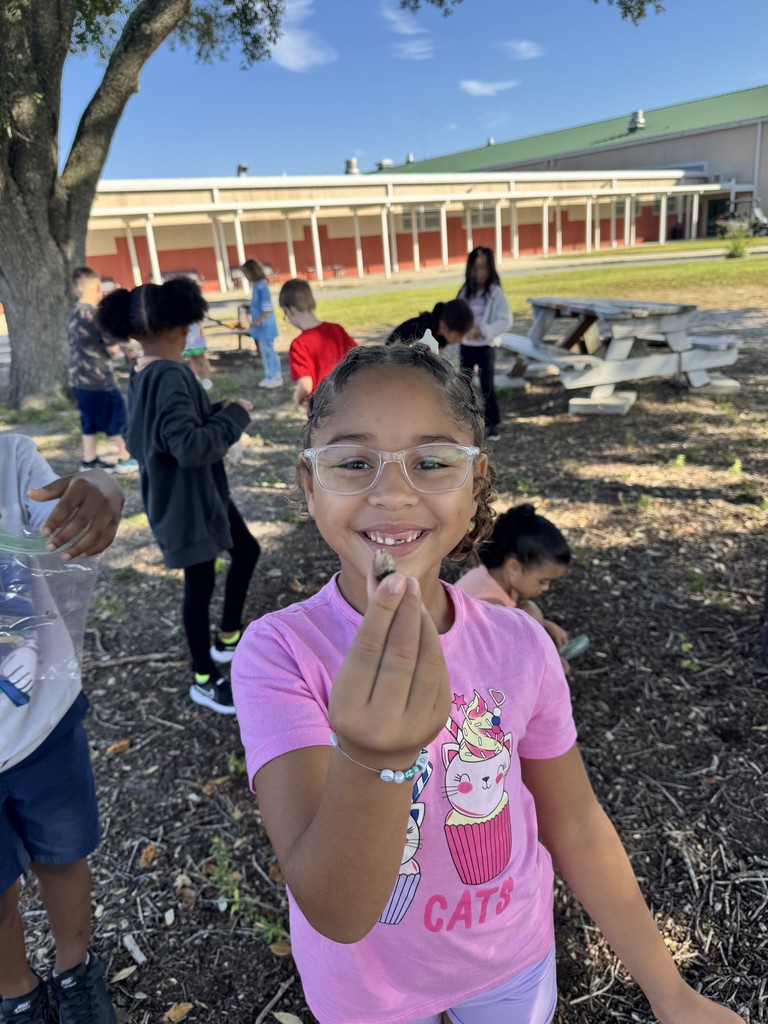 2nd Grade