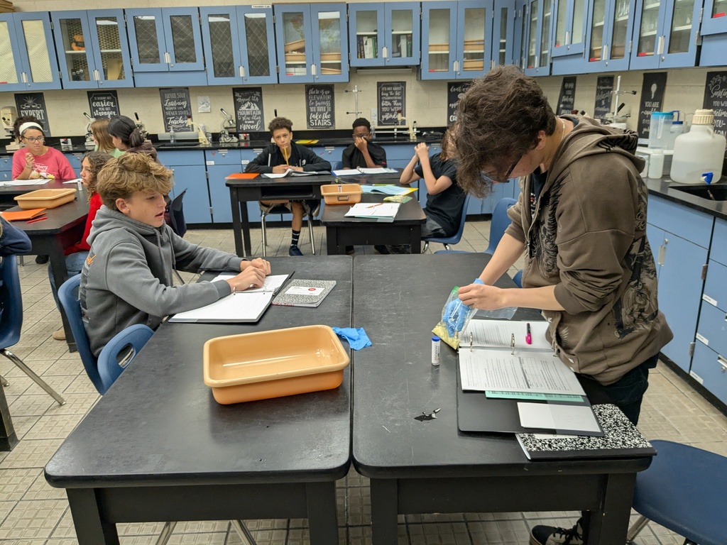 What a smelly but exciting day in Honors Biology! Mrs. Derousie’s students kicked off a 4-week lab investigation by taking a big whiff of cabbage. This hands-on experiment will test how lactic acid fermentation changes the pH of cabbage over time. From gathering data to analyzing results, students will be diving deep into the science of fermentation, critical thinking, and real-world applications of biology. We can’t wait to see how their smelly start transforms into scientific discovery!