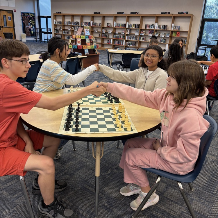 chess 