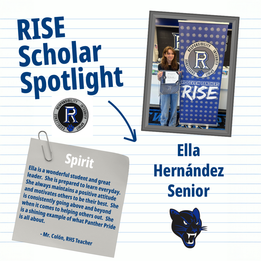 RISE Scholar