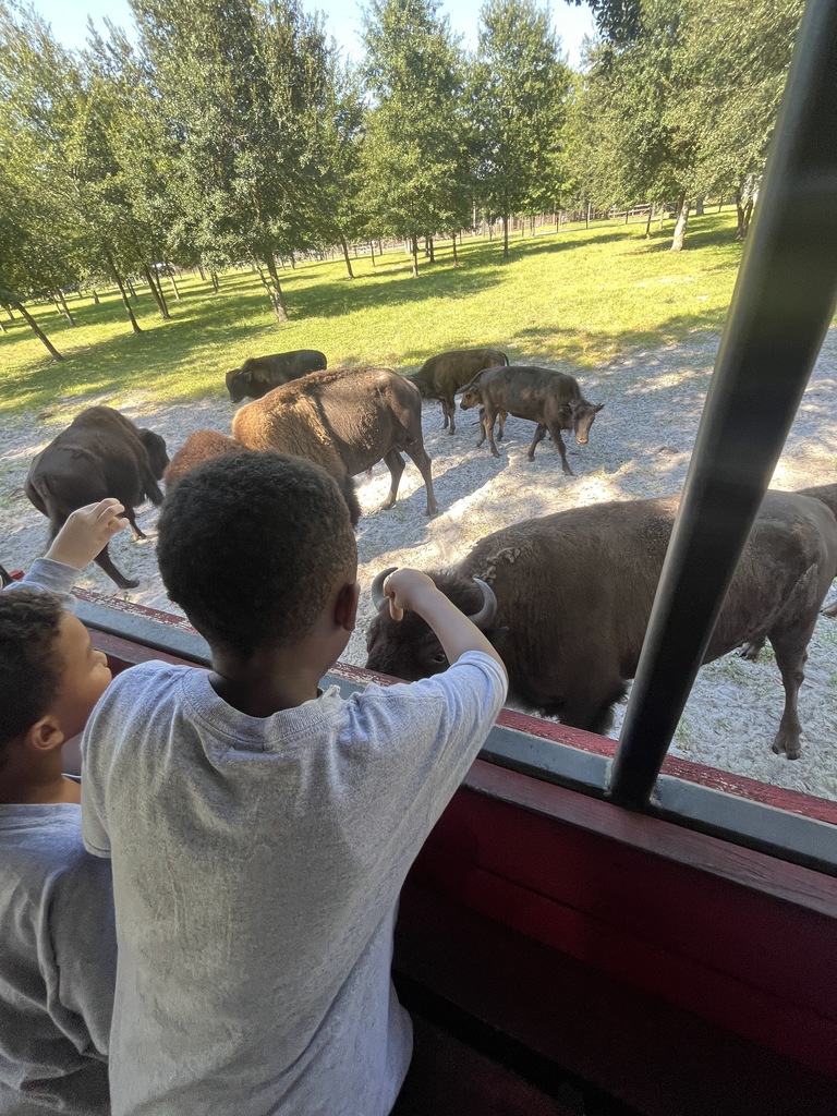 Little Squires Field Trip to Diamond D Ranch