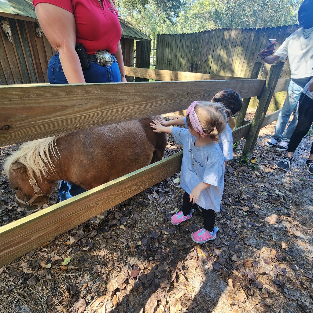 Little Squires Field Trip to Diamond D Ranch