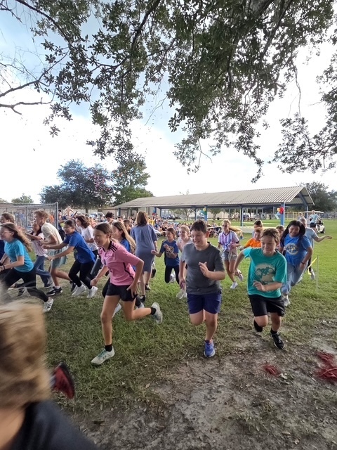 Run Walk 2025-2026
