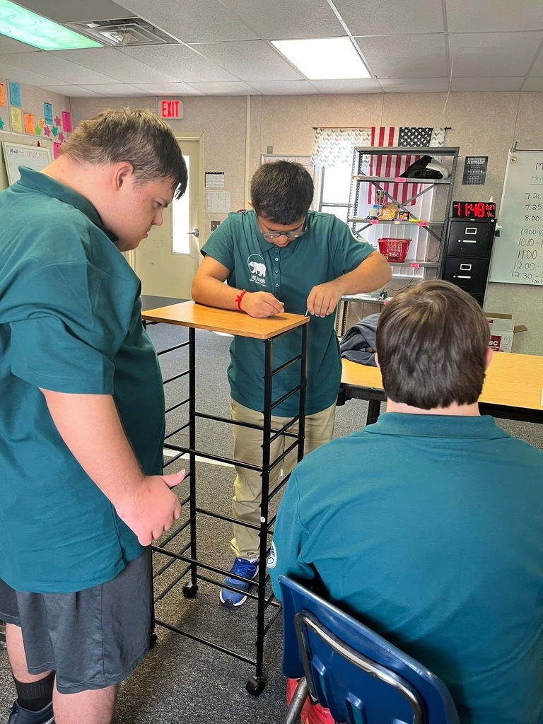 Transition Works Interns Build Skills and Community