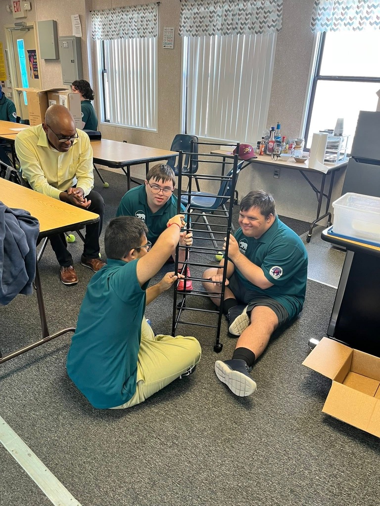 Transition Works Interns Build Skills and Community