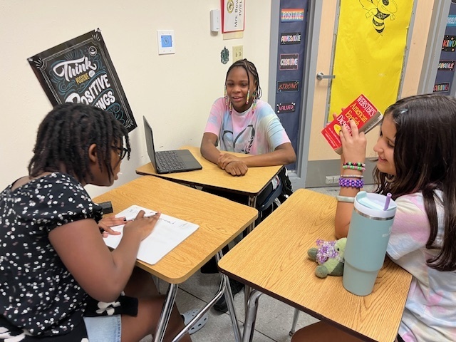 6th Grade Literacy Elective