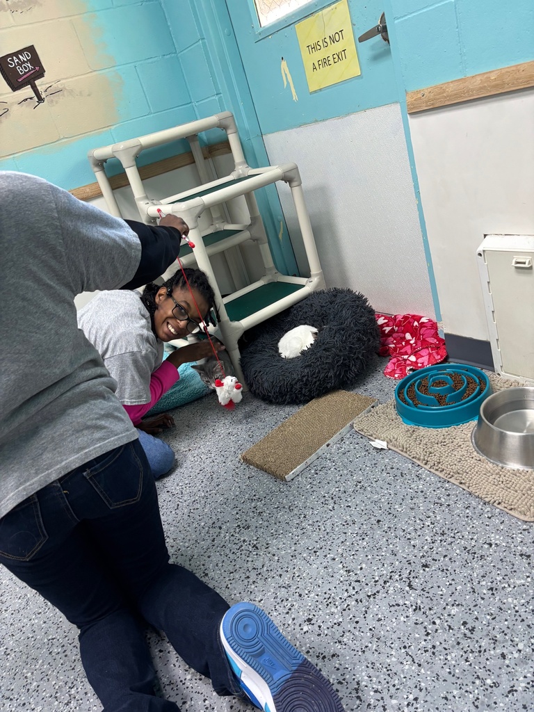 Mr. King’s Career Prep students love their community-based work experience at Poochie’s Dog Park, where they assisted with cleaning and spent time interacting with some of the animals. Experiences like these help students practice employability skills in an authentic setting. We’re grateful to Poochie’s for welcoming our Panthers and investing in their futures.