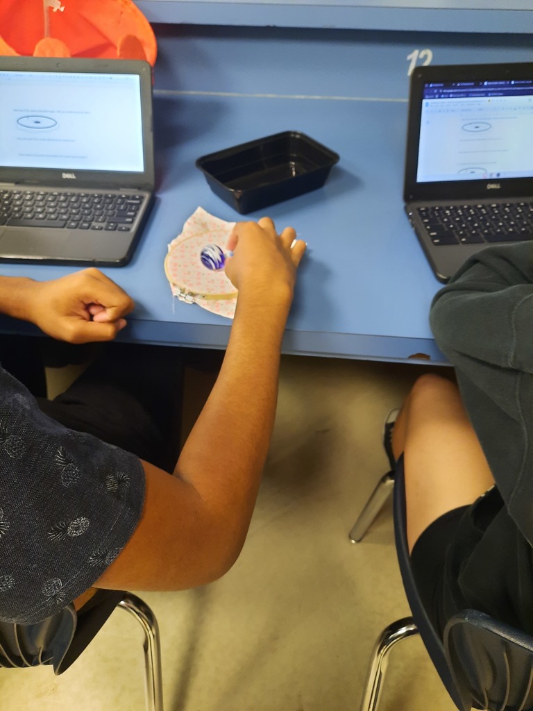 Last week, Ms. Klaes’s Astronomy students brought Einstein’s General Relativity to life through an interactive experiment! Using fabric to represent spacetime and marbles to represent planets, students observed firsthand how mass causes spacetime to curve, creating gravity. This hands-on exploration helped students connect complex physics concepts to real-world models, deepening their understanding of how our universe works.