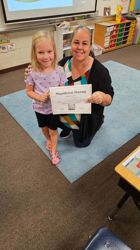 Magnificent Mustangs