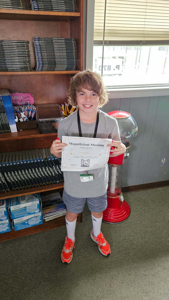 Magnificent Mustangs