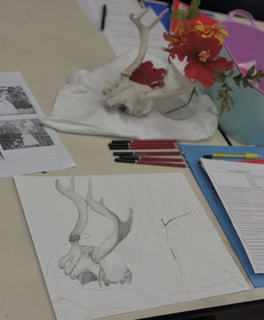 Ms. Generazio’s Art 2 students are crushing it with their Organic Form Still Life drawings! From bone structure to delicate petals, students are mastering observation, proportion, and shading techniques to bring their compositions to life. Their progress and attention to detail truly showcase their artistic growth and dedication.k