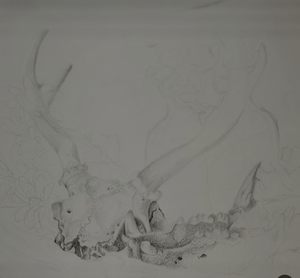 Ms. Generazio’s Art 2 students are crushing it with their Organic Form Still Life drawings! From bone structure to delicate petals, students are mastering observation, proportion, and shading techniques to bring their compositions to life. Their progress and attention to detail truly showcase their artistic growth and dedication.