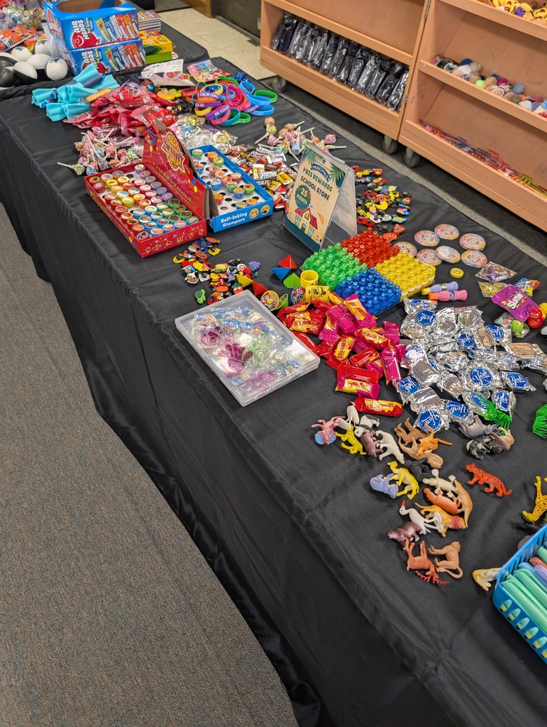 Principal Miller's PBIS Rewards School Store 2025