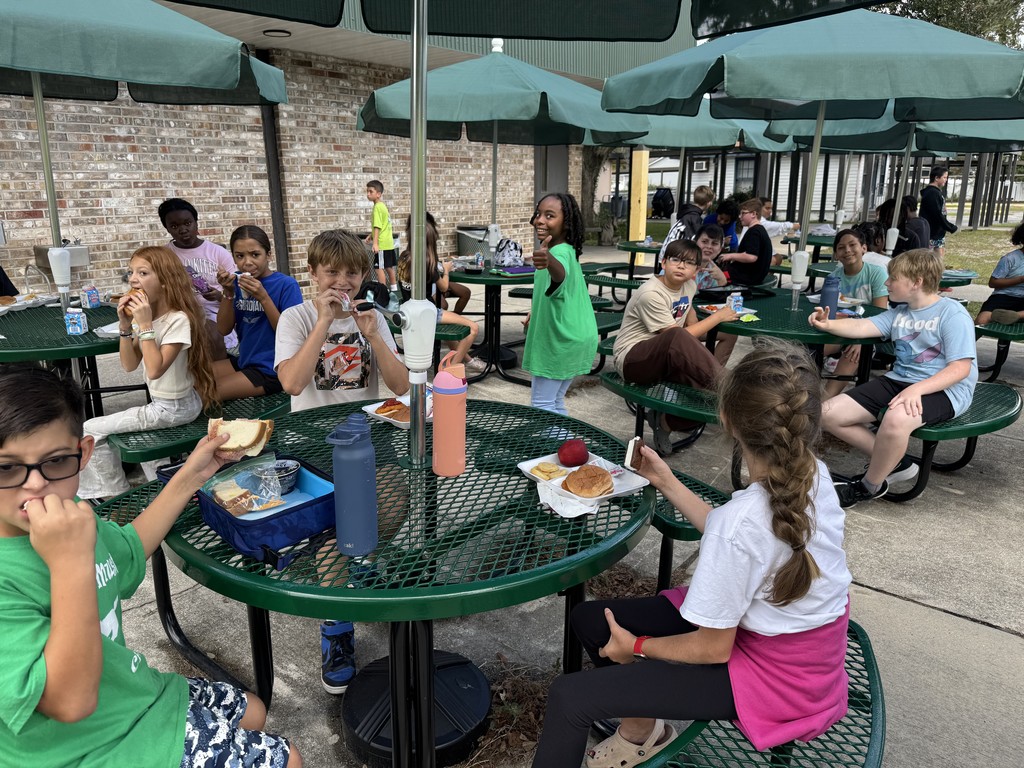 lunch bunch