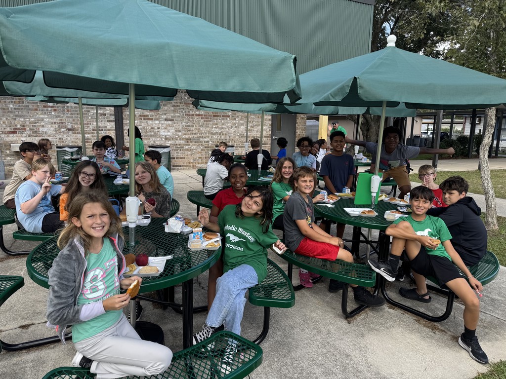 lunch bunch