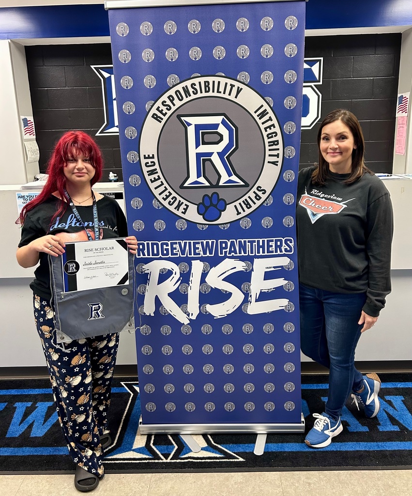 RISE Scholar