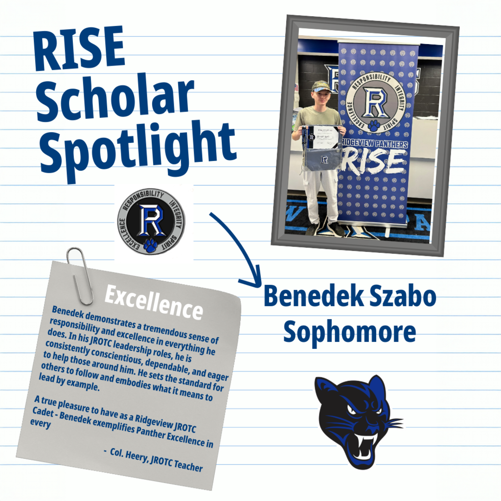 RISE Scholar