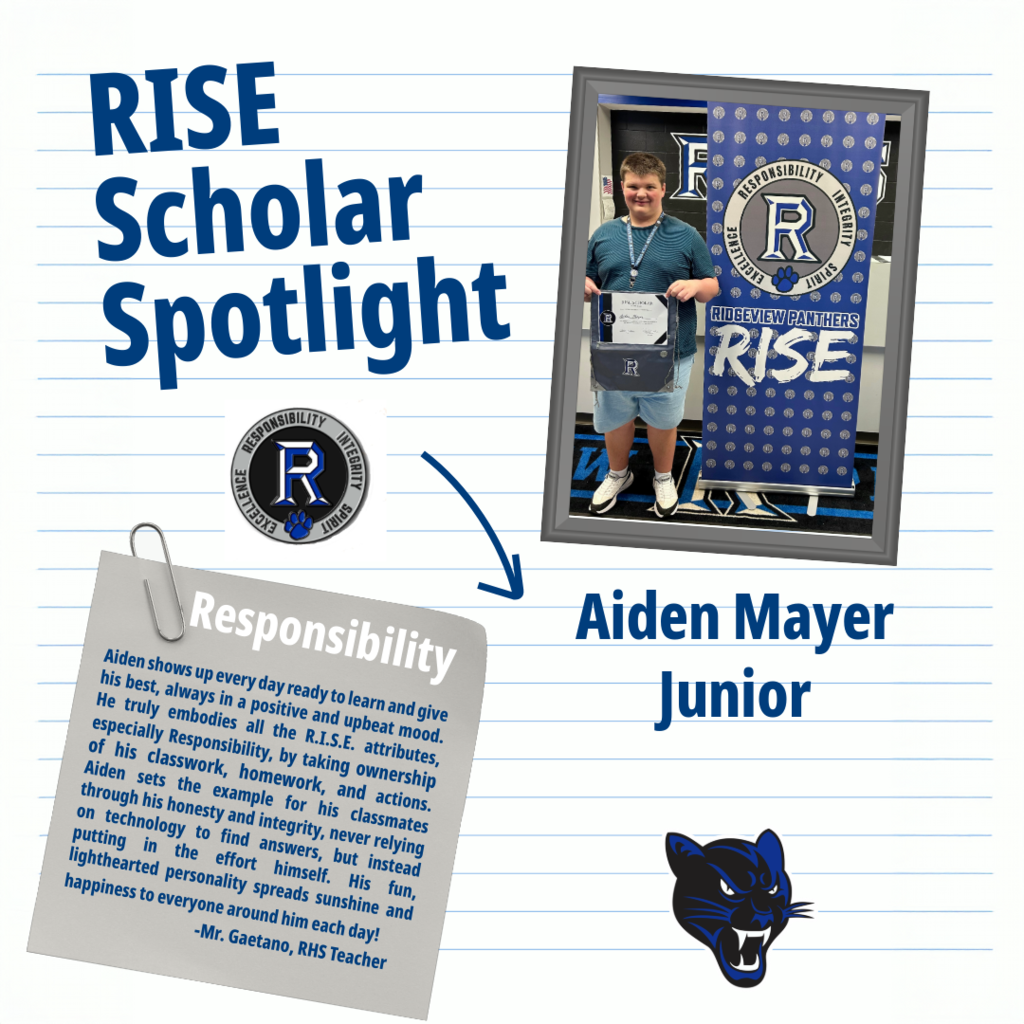 RISE Scholar