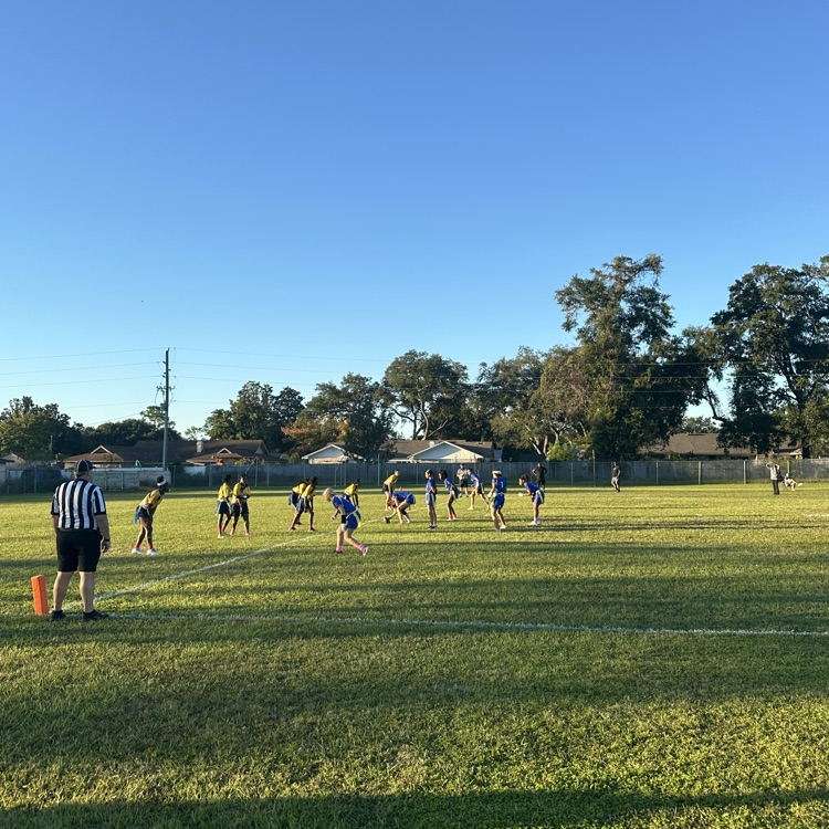 Flag Football Game