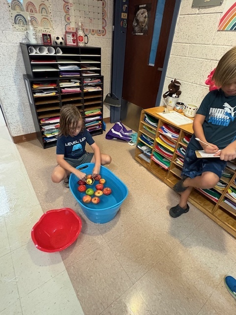 🍎🍁Fall Fun🍁🍎 What is the best way to celebrate fall? Bobbing for apples, engineering style in Mrs. VandeWater's room