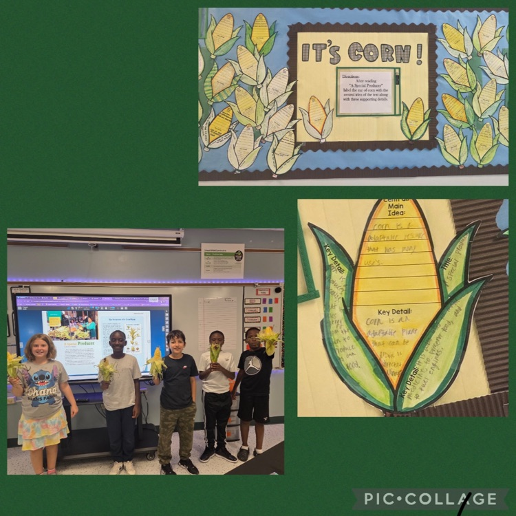 5th Grade ELA pictures
