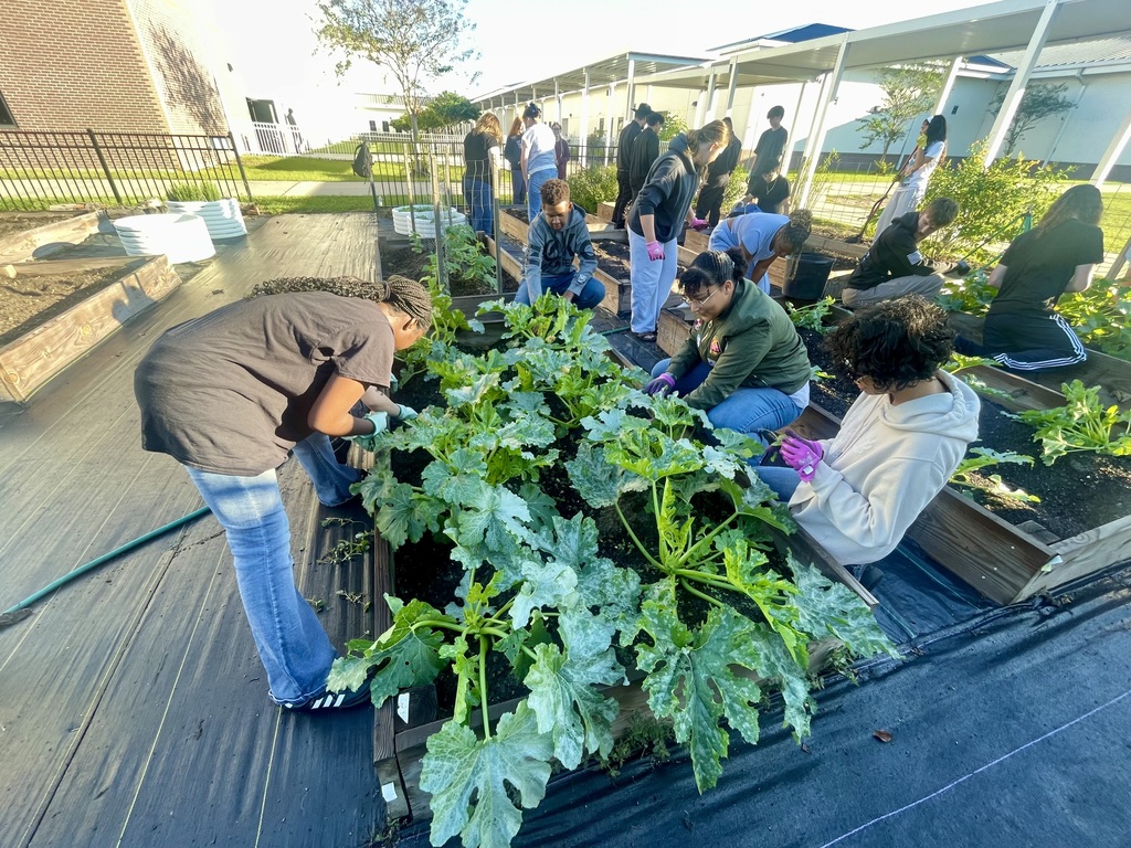 Ag Students working in the garden