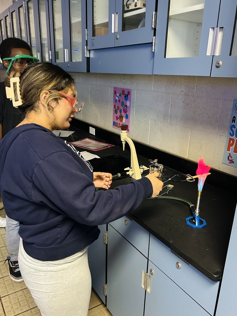 In Ms. Fortner’s Honors and Pre-IB/AICE Chemistry classes, students brought science to life through a flame test lab using Bunsen burners and various metal solutions. When heated, the electrons in each metal moved from their ground state to an excited state, then released energy in the form of vibrant light as they returned to ground state. Each colorful flame revealed a unique spectral signature for the metal ion tested, allowing students to connect abstract atomic theory to real-world observation.