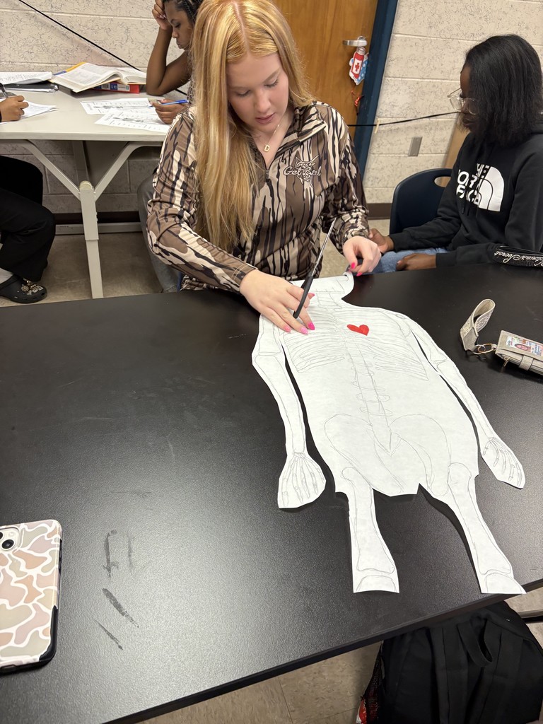 Ms. Johnson’s Anatomy & Physiology students are bringing the skeletal system to life! This week, students explored bones and body structure through hands-on learning, sketching, labeling, and designing life-sized skeletons as part of a creative art project to decorate their classroom door. The activity combined science, teamwork, and a little seasonal spirit to reinforce their understanding of anatomy in a fun, memorable way.