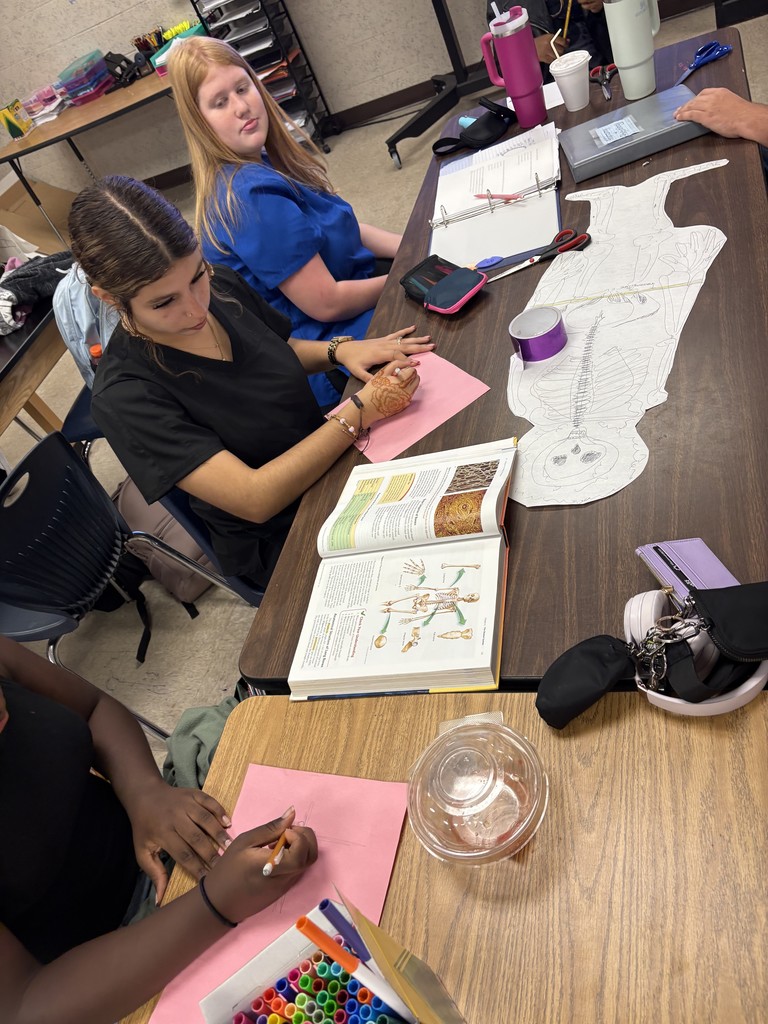 Ms. Johnson’s Anatomy & Physiology students are bringing the skeletal system to life! This week, students explored bones and body structure through hands-on learning, sketching, labeling, and designing life-sized skeletons as part of a creative art project to decorate their classroom door. The activity combined science, teamwork, and a little seasonal spirit to reinforce their understanding of anatomy in a fun, memorable way.