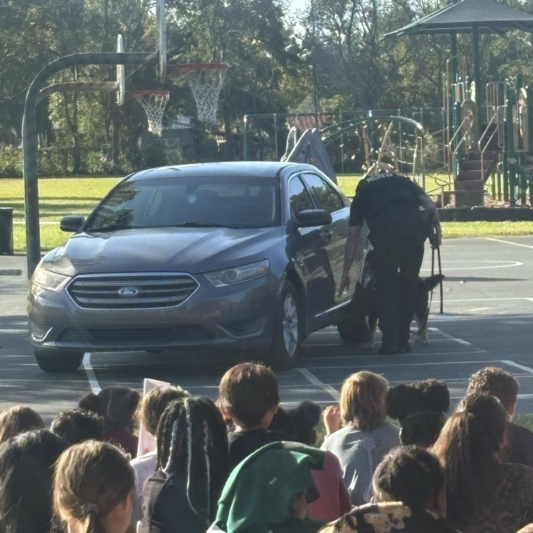 He smells something!!