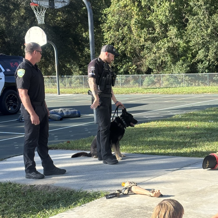 Grit is his best friend!