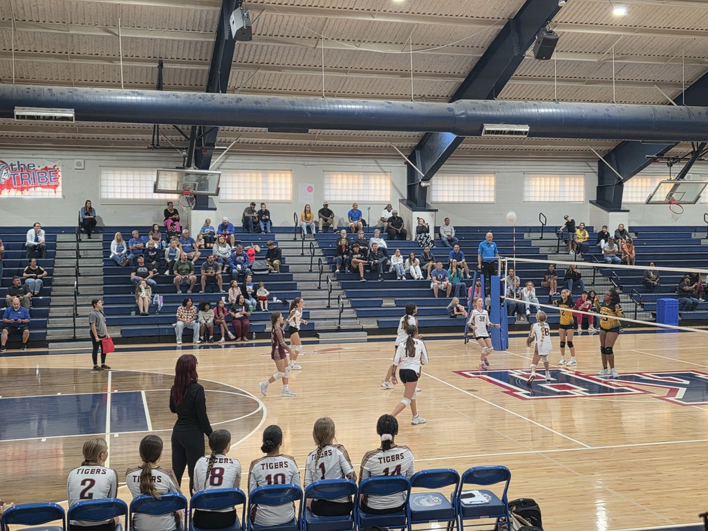 LAJH Volleyball 
