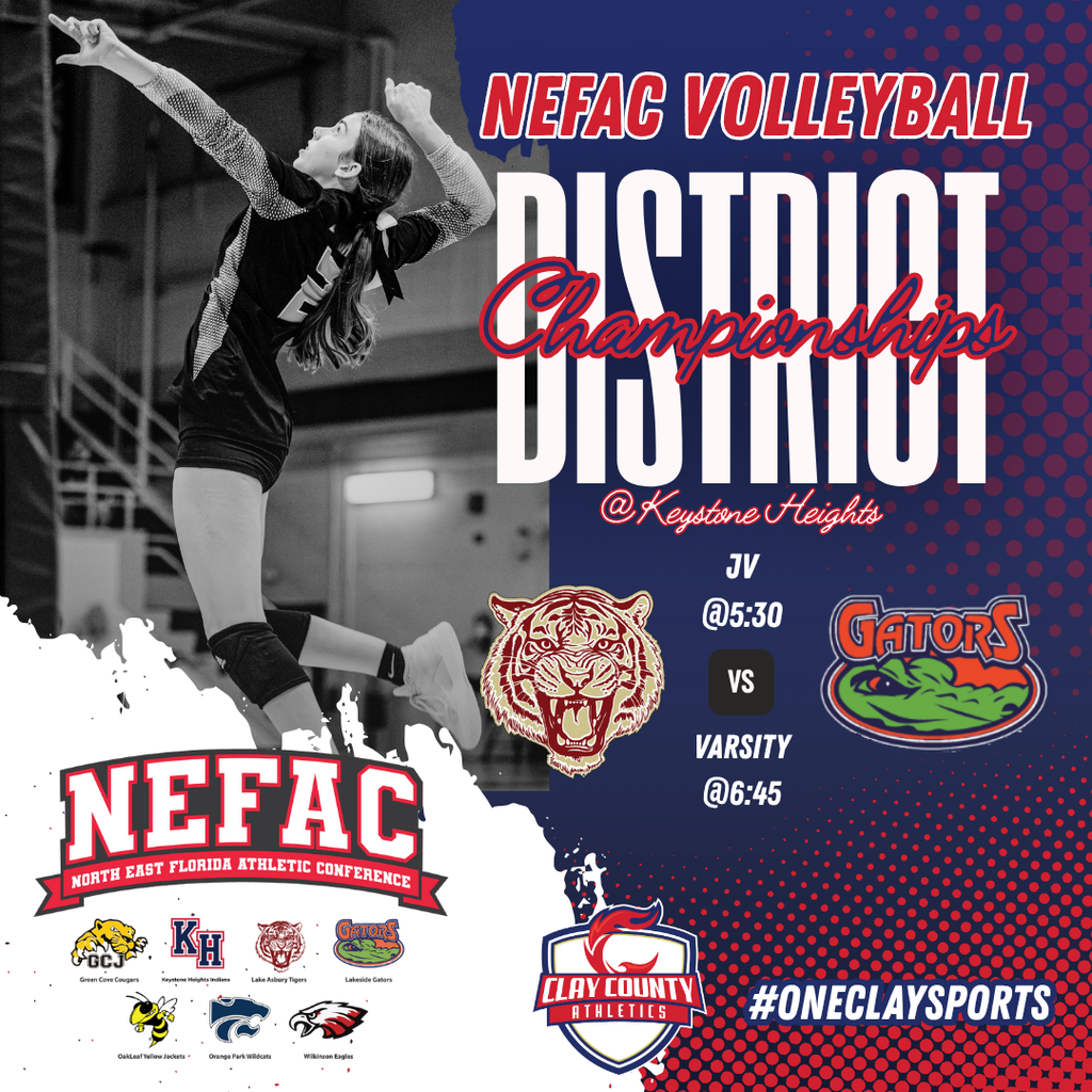 Volleyball Championships Information