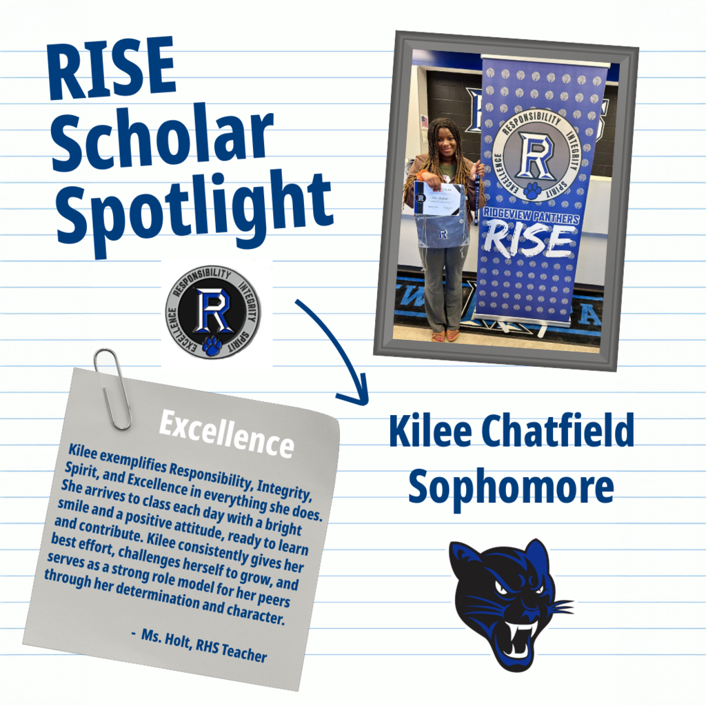 RISE Scholar 