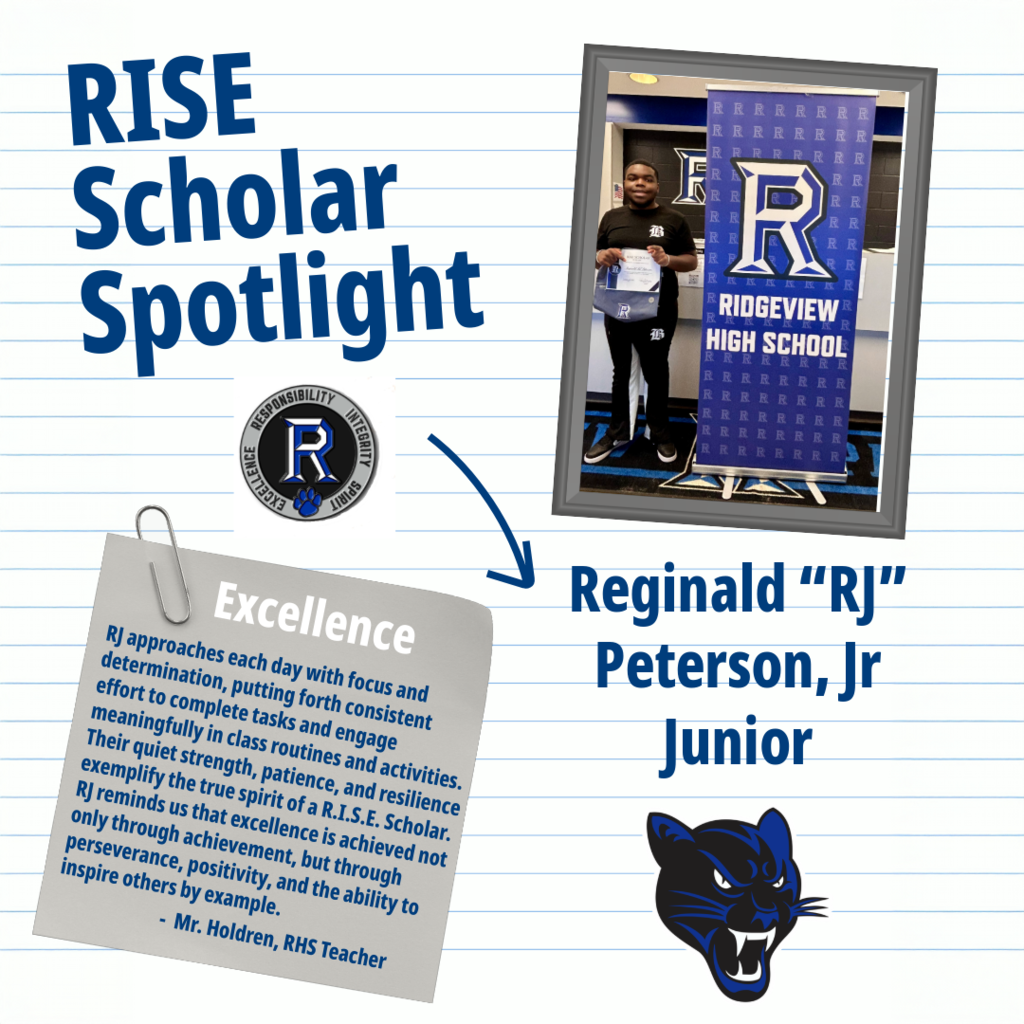 RISE Scholar 