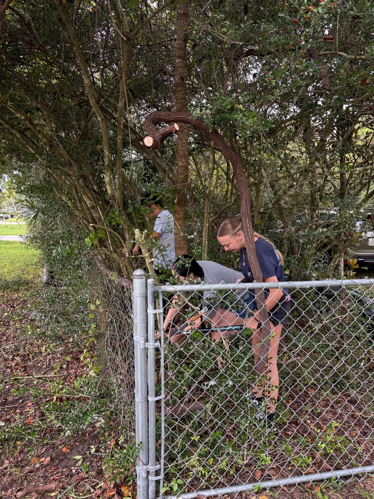 Our dedicated Earth Club members spent two Saturdays—one in September and another in October—volunteering at Crosby Sanctuary. They trimmed plants around the entrance, cleared and maintained trails, cared for native garden plants, and picked up trash from the swamp area. Their ongoing efforts show true Panther pride and a deep commitment to protecting our local environment.