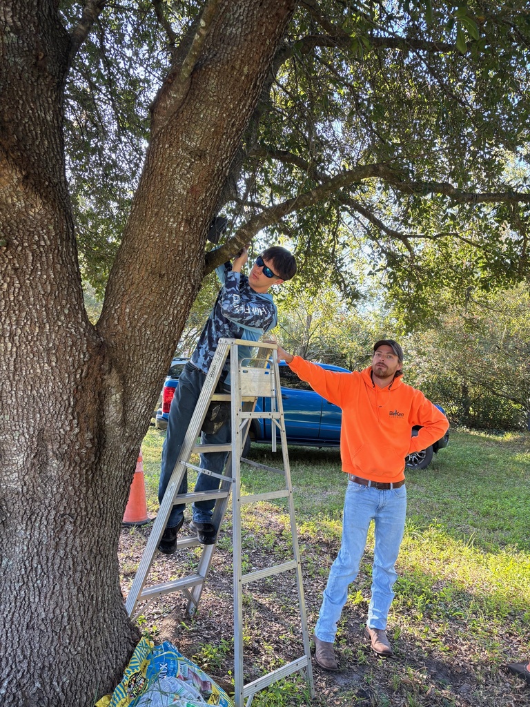 Our dedicated Earth Club members spent two Saturdays—one in September and another in October—volunteering at Crosby Sanctuary. They trimmed plants around the entrance, cleared and maintained trails, cared for native garden plants, and picked up trash from the swamp area. Their ongoing efforts show true Panther pride and a deep commitment to protecting our local environment.