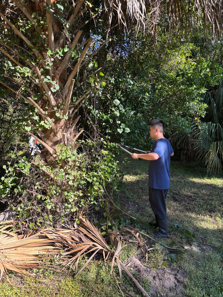 Our dedicated Earth Club members spent two Saturdays—one in September and another in October—volunteering at Crosby Sanctuary. They trimmed plants around the entrance, cleared and maintained trails, cared for native garden plants, and picked up trash from the swamp area. Their ongoing efforts show true Panther pride and a deep commitment to protecting our local environment.