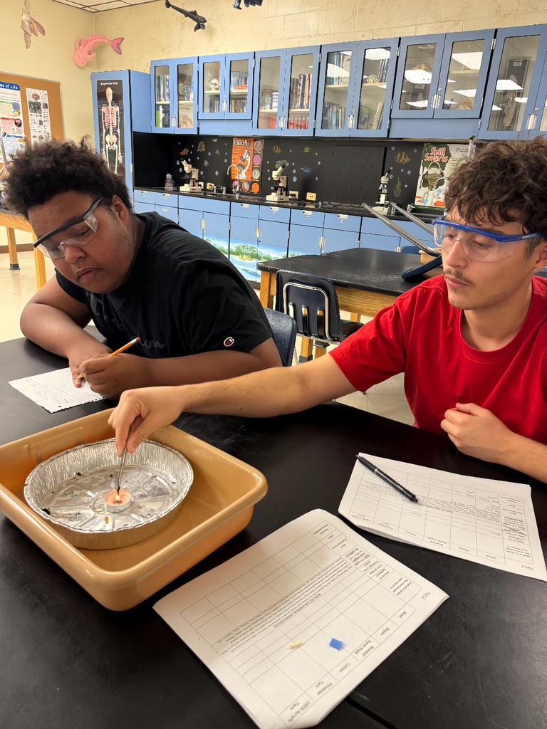 Mr. Hutchinson’s Forensic Science students put their investigative skills to the test this week by examining how different materials and fibers burn. Through careful observation of flame color, smoke, odor, and residue, students learned how burn patterns can help identify unknown substances—just like real forensic analysts do in the lab!