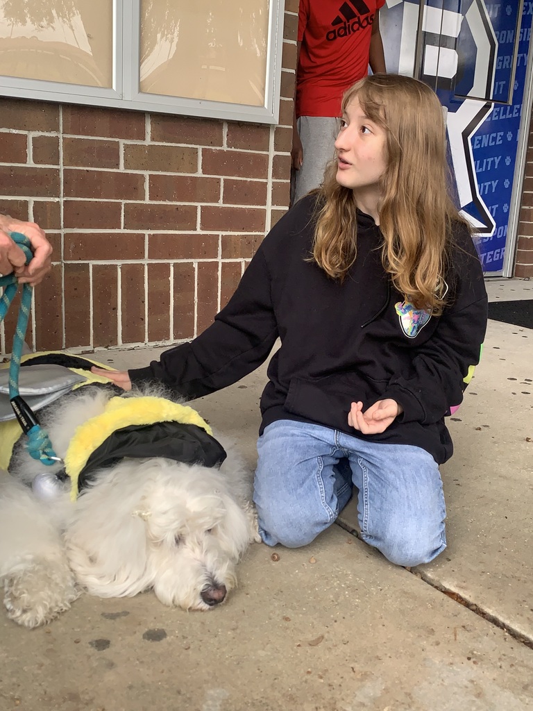 We had our furry friends back on campus this week — and they came dressed in their best Halloween costumes! From wagging tails to playful paws, our therapy dogs brought smiles, comfort, and plenty of love to our students. We’re so thankful for this partnership and the joy these pups bring each time they visit!