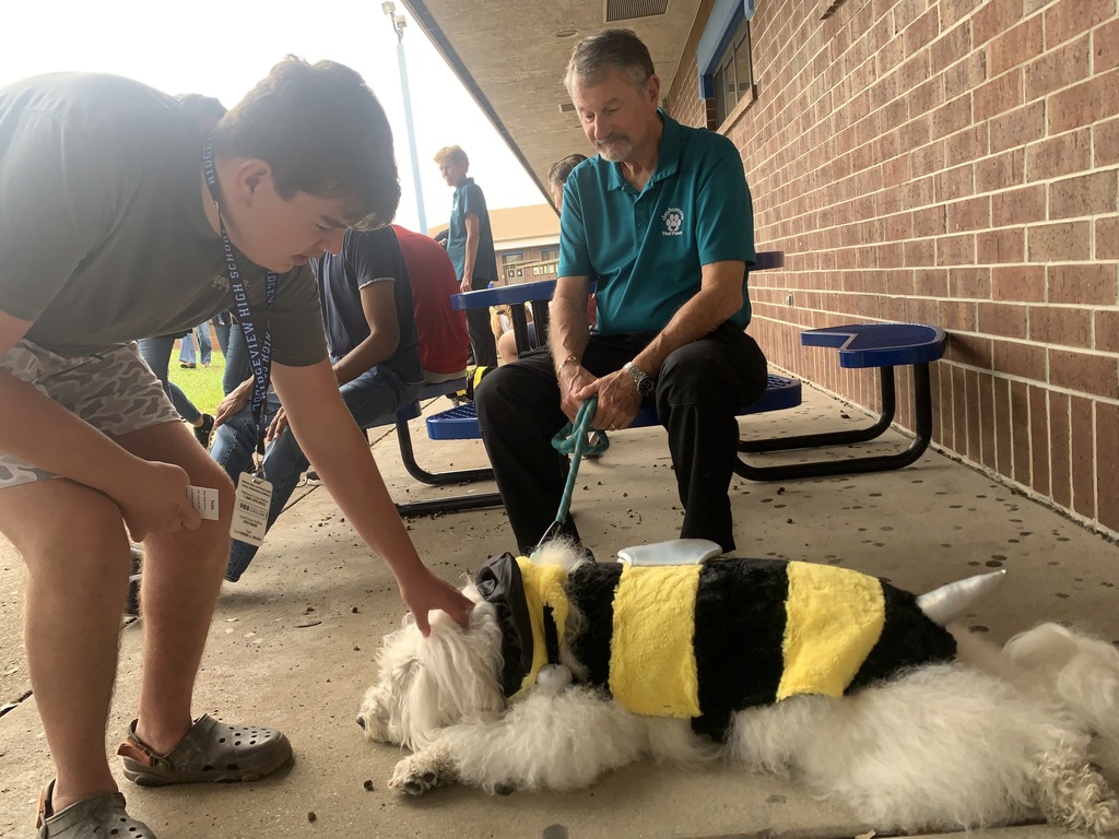 We had our furry friends back on campus this week — and they came dressed in their best Halloween costumes! From wagging tails to playful paws, our therapy dogs brought smiles, comfort, and plenty of love to our students. We’re so thankful for this partnership and the joy these pups bring each time they visit!