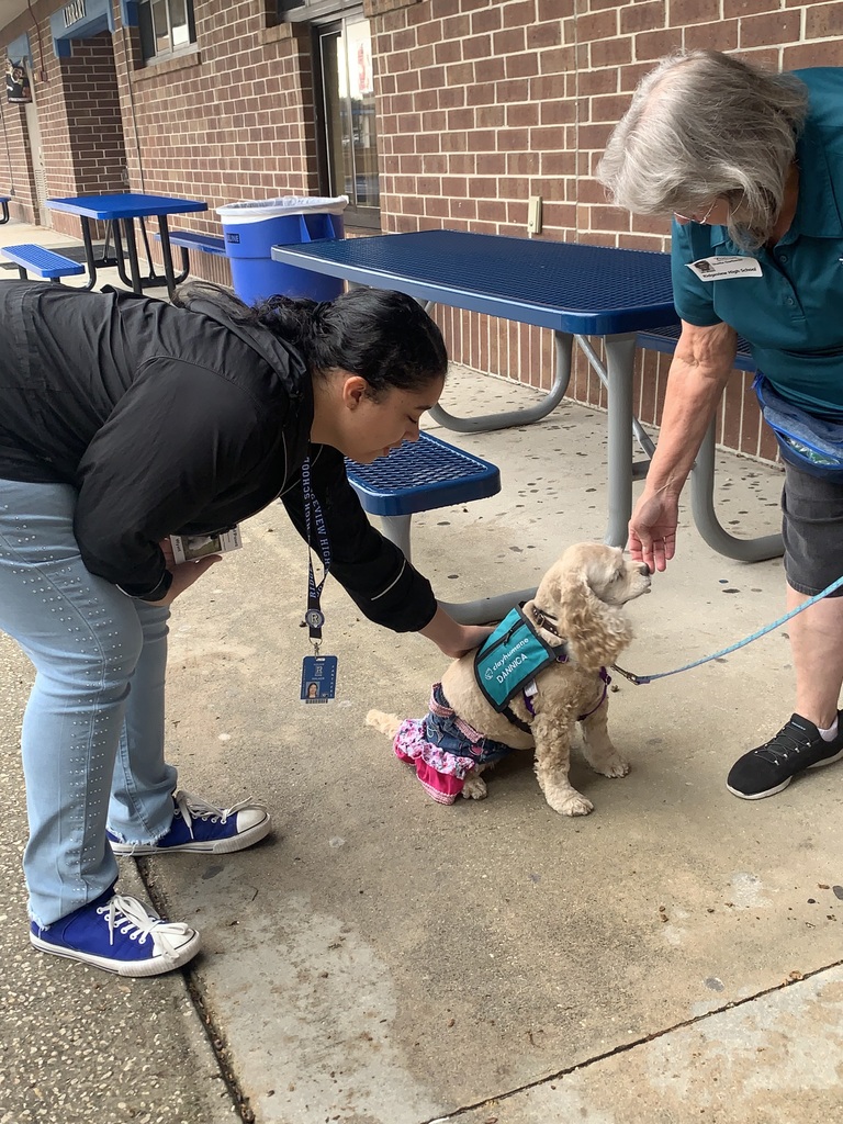 We had our furry friends back on campus this week — and they came dressed in their best Halloween costumes! From wagging tails to playful paws, our therapy dogs brought smiles, comfort, and plenty of love to our students. We’re so thankful for this partnership and the joy these pups bring each time they visit!