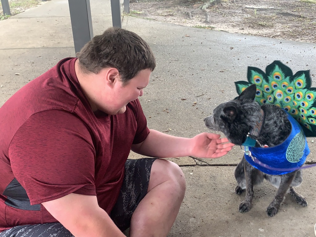We had our furry friends back on campus this week — and they came dressed in their best Halloween costumes! From wagging tails to playful paws, our therapy dogs brought smiles, comfort, and plenty of love to our students. We’re so thankful for this partnership and the joy these pups bring each time they visit!