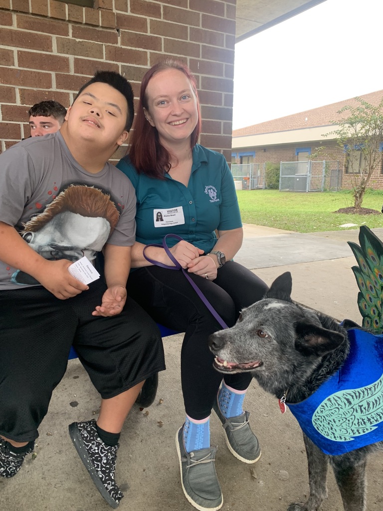 We had our furry friends back on campus this week — and they came dressed in their best Halloween costumes! From wagging tails to playful paws, our therapy dogs brought smiles, comfort, and plenty of love to our students. We’re so thankful for this partnership and the joy these pups bring each time they visit!