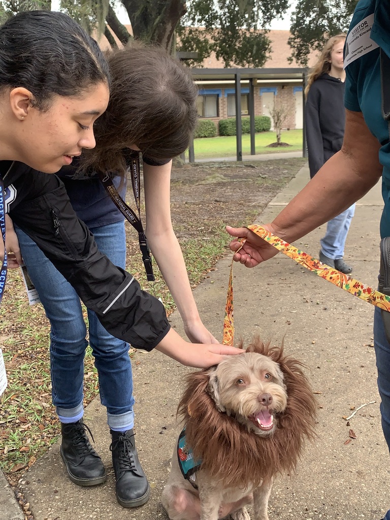 We had our furry friends back on campus this week — and they came dressed in their best Halloween costumes! From wagging tails to playful paws, our therapy dogs brought smiles, comfort, and plenty of love to our students. We’re so thankful for this partnership and the joy these pups bring each time they visit!