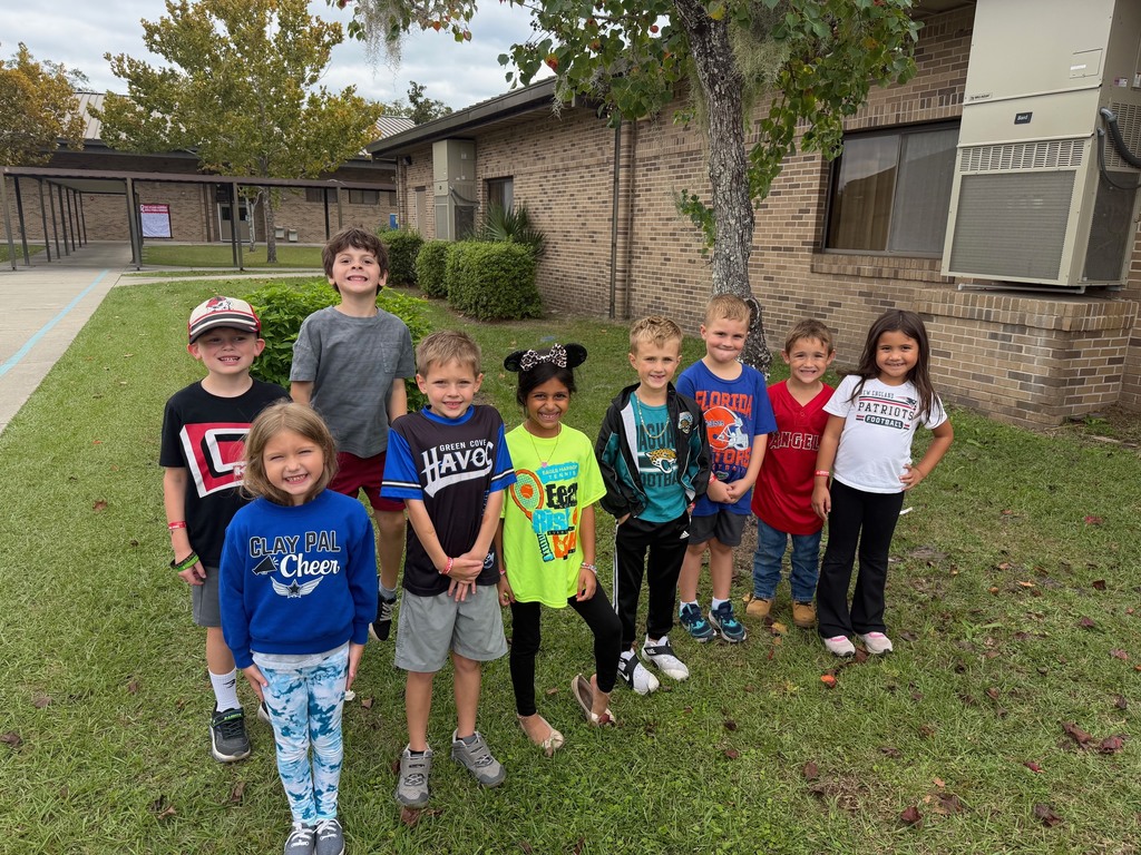 Our Manatees RALLIED AGAINST DRUGS today, strutting their stuff in their favorite sports team's gear!