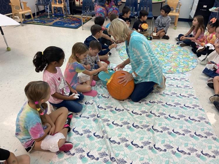 Pumpkin Investigation